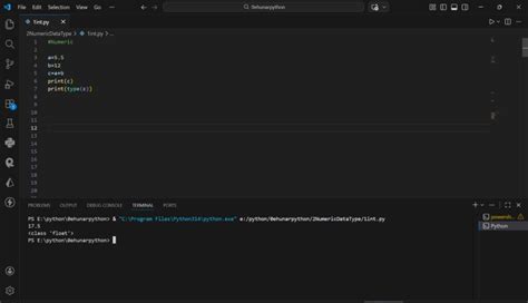 Python Function Definition に対する画像結果