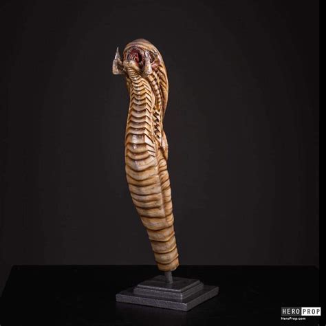 Image result for Alien Predator Hybrid