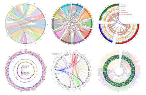 Image result for Data Visualization Animation Python