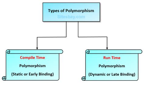 Image result for Polymorphism Java Example
