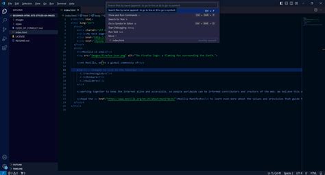 Visual Studio Code Graphics Data に対する画像結果