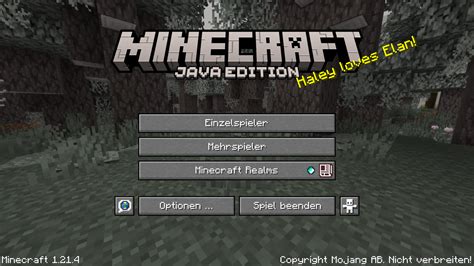 Toradh íomhá ar Minecraft Java Edition Graphics