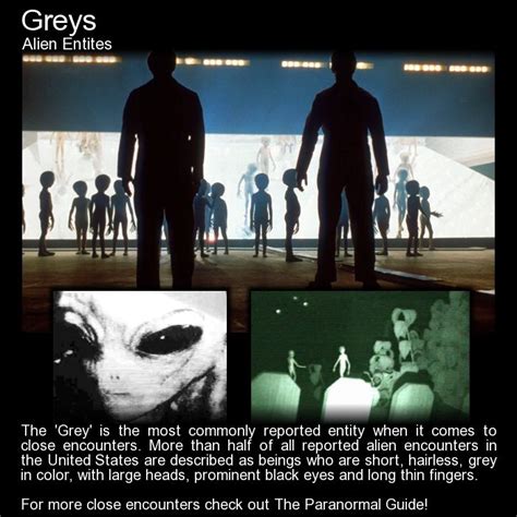 Image result for Alien Encounters 2023