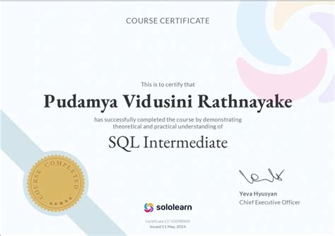 Afbeeldingsresultaten voor SQL Intermediate Course
