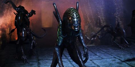 Every Type Of Xenomorph In The Alien Franchise Explained