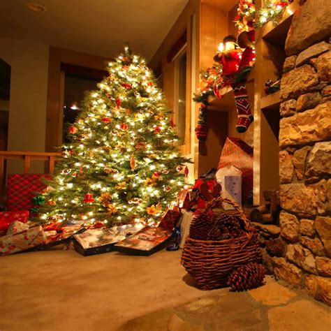 Toradh íomhá ar Advanced Computer Packages Lessons