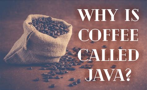 Image result for Java Coffee Java Programming