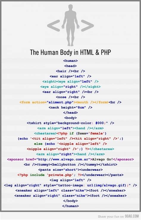 Image result for HTML CSS JavaScript Human Body Analogy