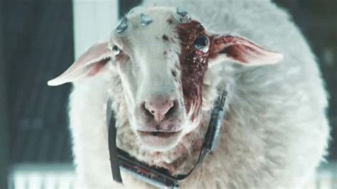 Image result for Alien Eye Monster