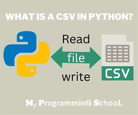 Image result for CSV File Program in Python Class 12