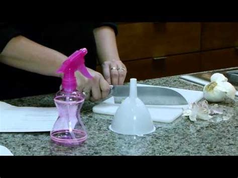 Image result for Using Onion to Make Insect Spray