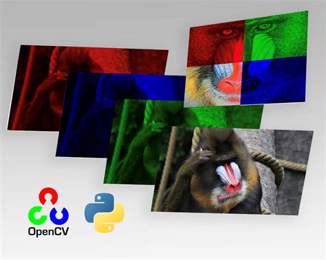 Image result for Computer Vision OpenCV Python