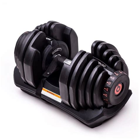 Image result for Dumbbell