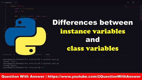 Python Instance Variables vs Class Variables に対する画像結果