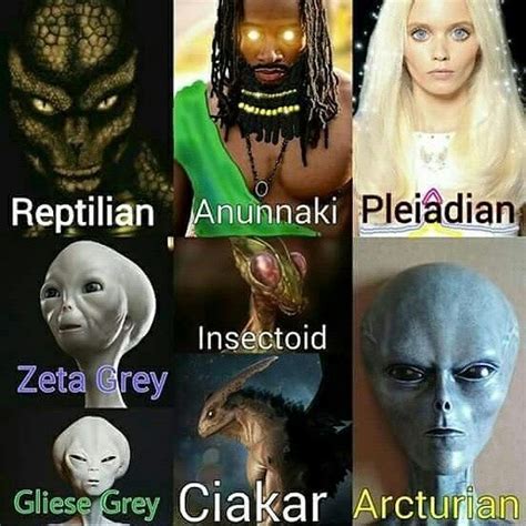 Afbeeldingsresultaten voor Alien Types