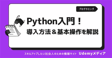 Introduction to Python Tutorial に対する画像結果