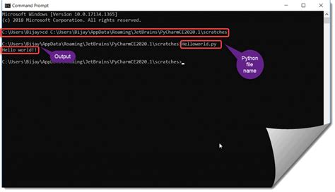 Python First Program HelloWorld に対する画像結果