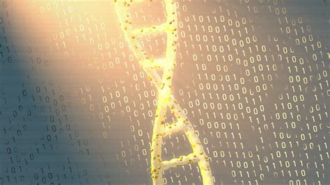 Image result for Algorithm Animation Examples