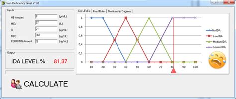 Application Program Interface Library Example に対する画像結果