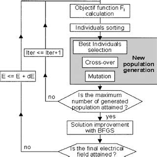 Numerical Algorithm Example に対する画像結果