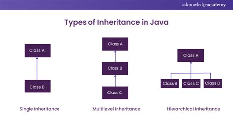 Image result for Implement Inheritance in Java Example