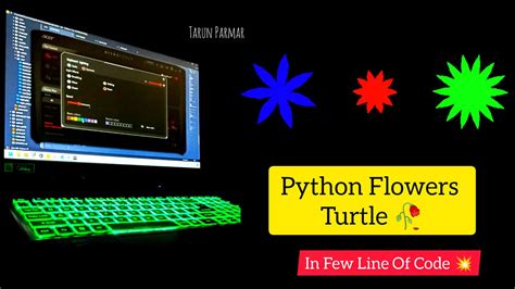 Image result for Python Turtle Round Flower Code