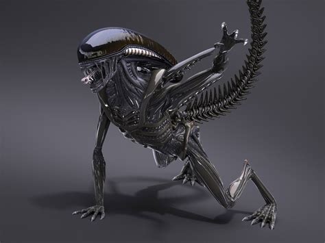 Image result for Alien Xenomorph Model