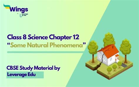Image result for Class 8 Science Chapter 12