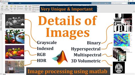 MATLAB Image Processing に対する画像結果