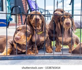 Image result for Bill Gate