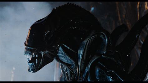 Alien 1 1979 に対する画像結果