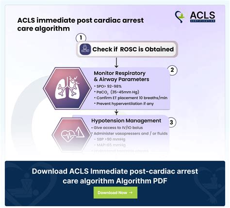 Image result for ACLS Algorithms