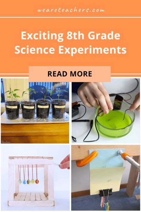 Image result for 8th Grade Science Project Examples
