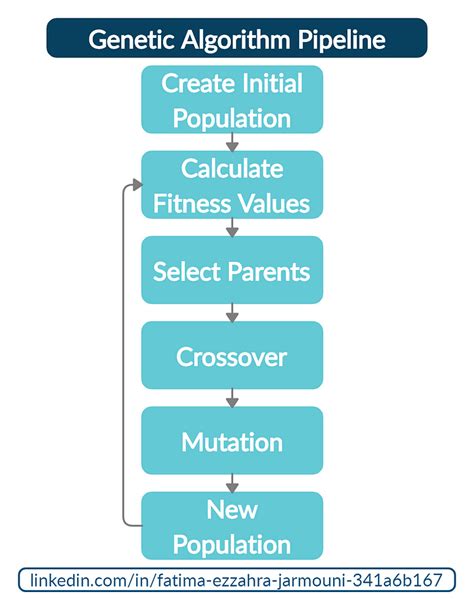 Image result for Genetic Algorithm Intro Python
