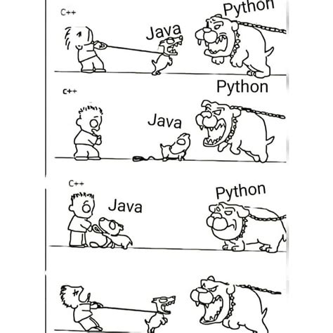 Image result for Python Java Cartoon