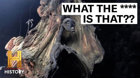 Alien Creatures On Camera に対する画像結果