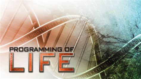 Programming Documentary に対する画像結果