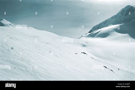 Image result for Dwarfed