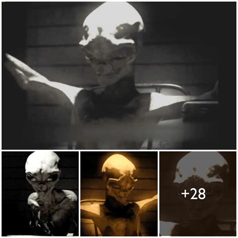 Image result for Alien Interview