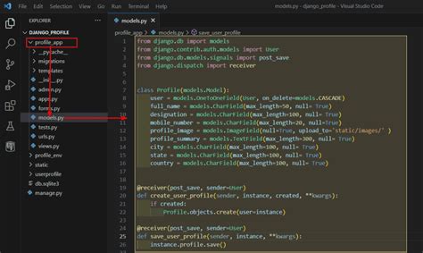 User Profile Display Project Using Python に対する画像結果