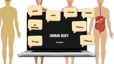 Image result for HTML CSS JavaScript Human Body Analogy