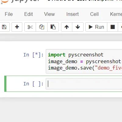 Image result for Python Coding Screen Shot