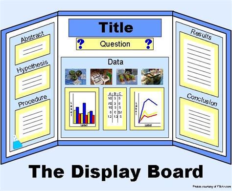 Image result for Elementary Science Project Board Layout