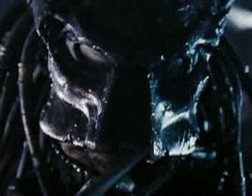 Image result for Alien Predator 2 Trailer