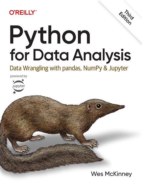 Toradh íomhá ar Python for Data Analysis PDF