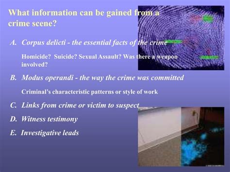 Image result for Forensics Intro