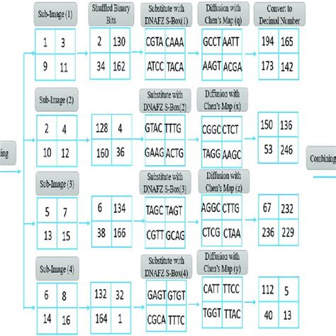 Numerical Algorithm Example に対する画像結果