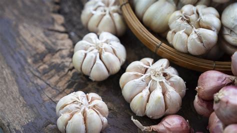 Image result for Using Onion to Make Insect Spray