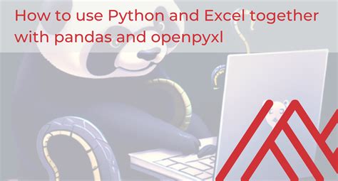 Image result for How to Input Excel Excel to Python Using Panda