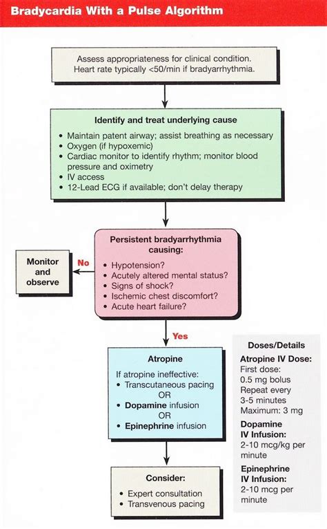 Image result for ACLS Algorithms